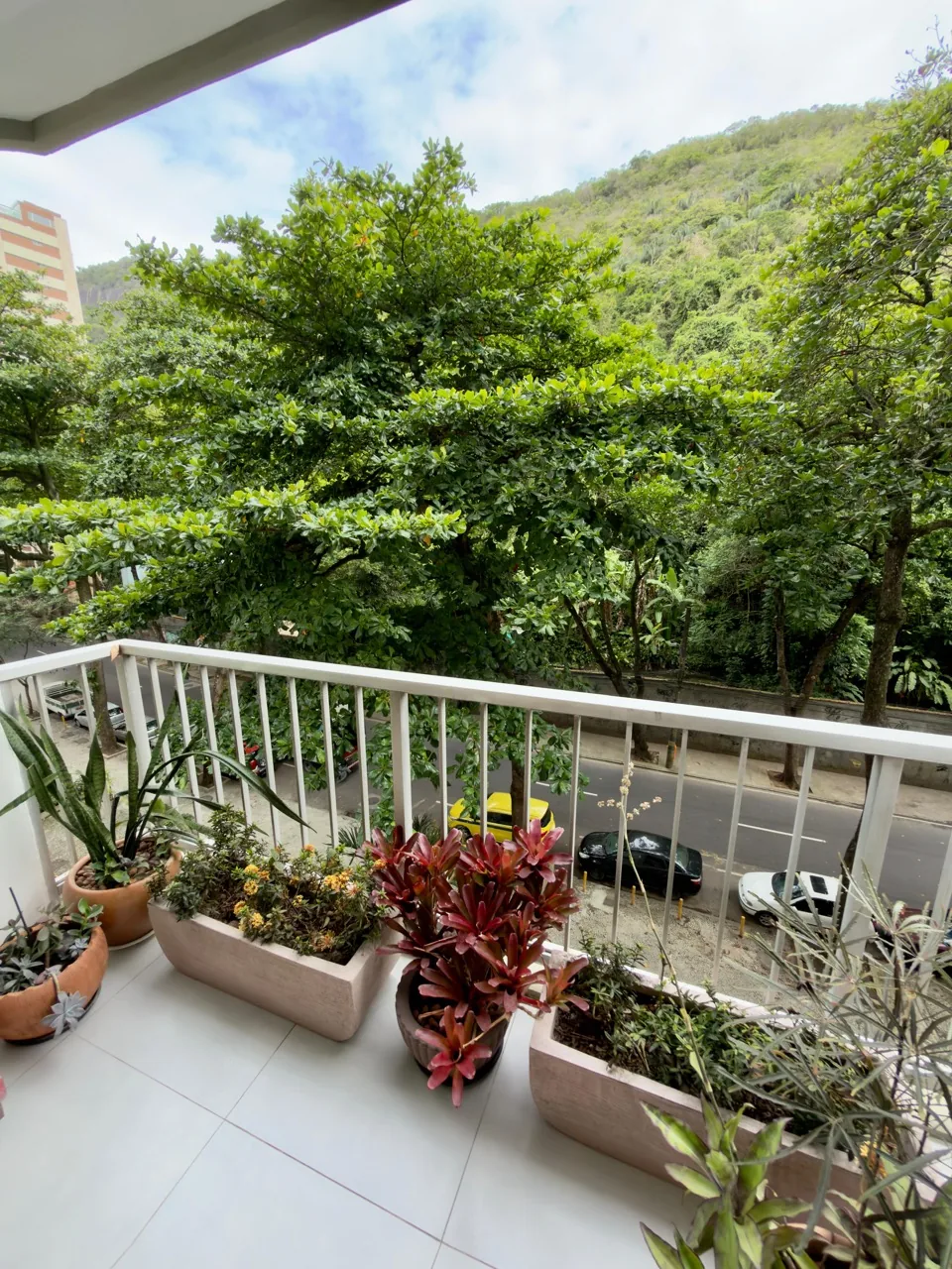 Varanda arborizada, vista para as árvores