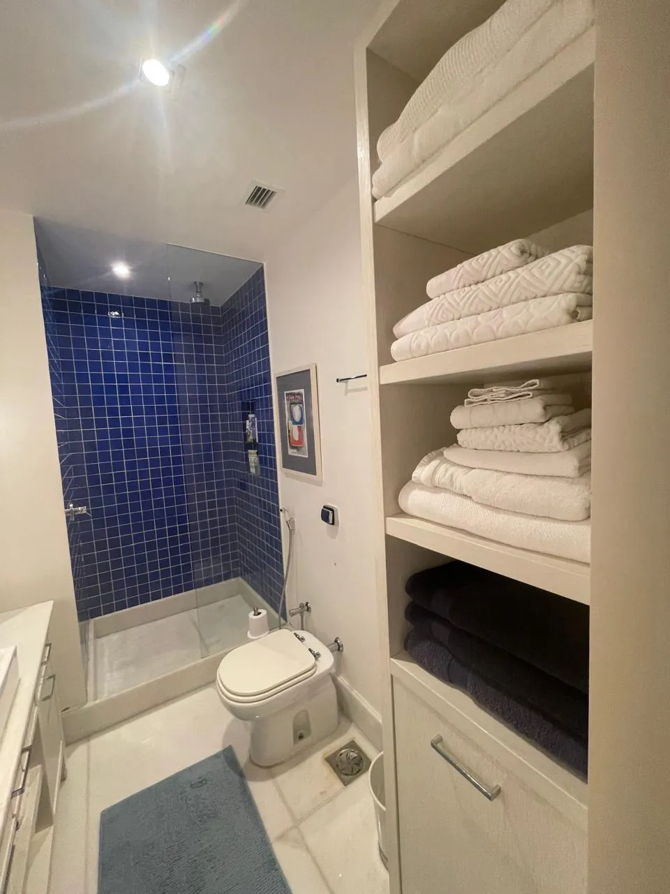 Banheiro com box revestido em azul e nichos